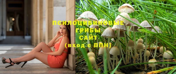 твердый Алексеевка