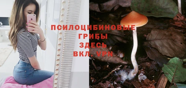 амф Алзамай