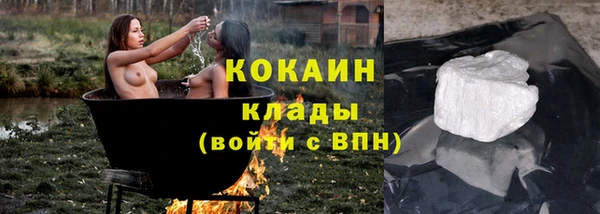 твердый Алексеевка