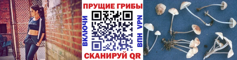 Галлюциногенные грибы ЛСД Сортавала
